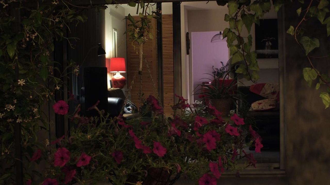 La Maison Sous L'Olivier Villa Morieres-les-Avignon Exteriör bild